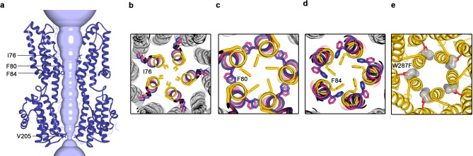 Figure 4—figure supplement 3.