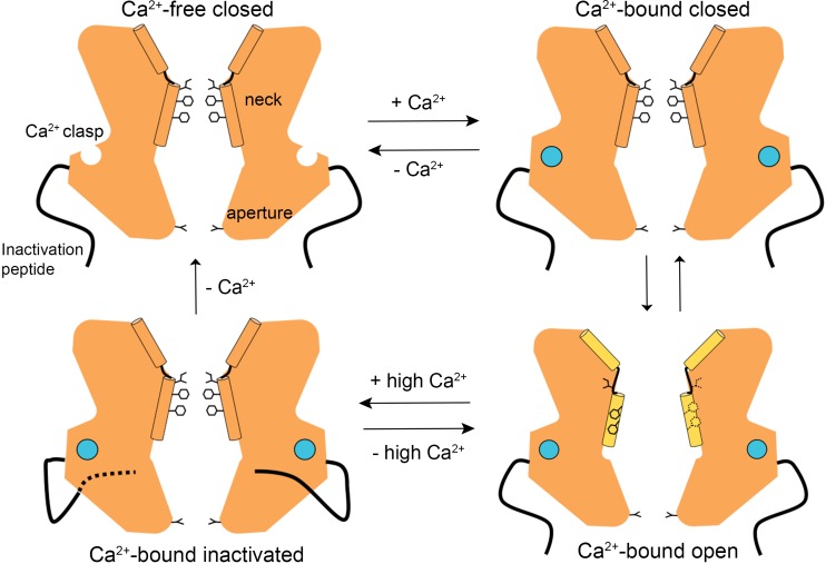 Figure 6.