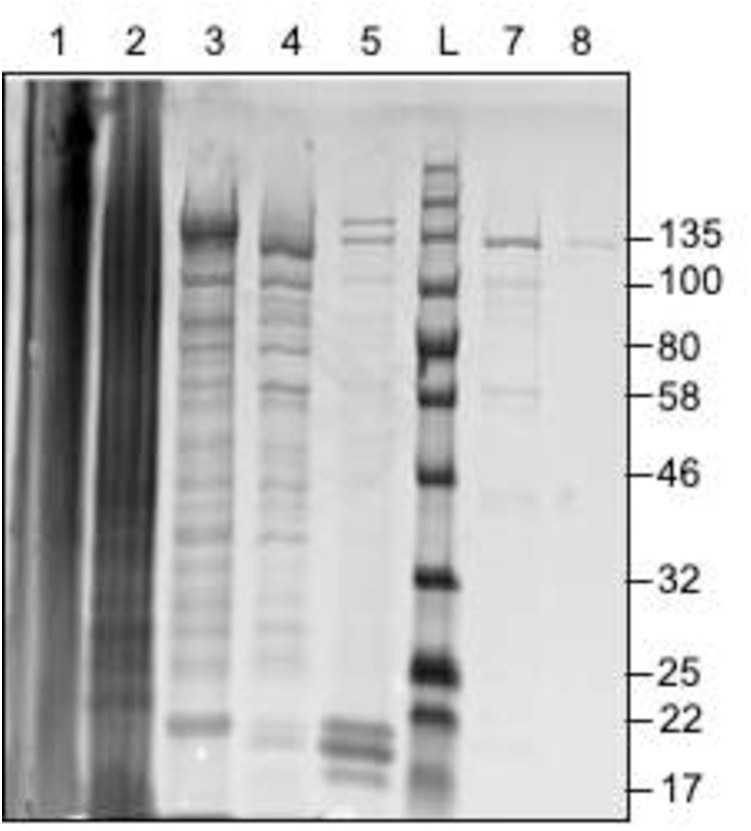 Fig. S1