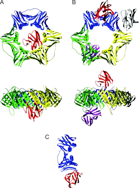 Figure 7.