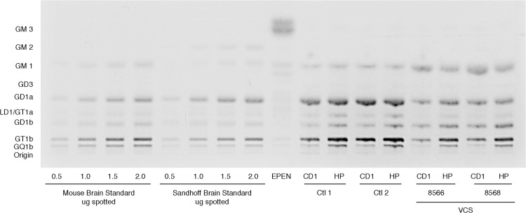 Fig 5