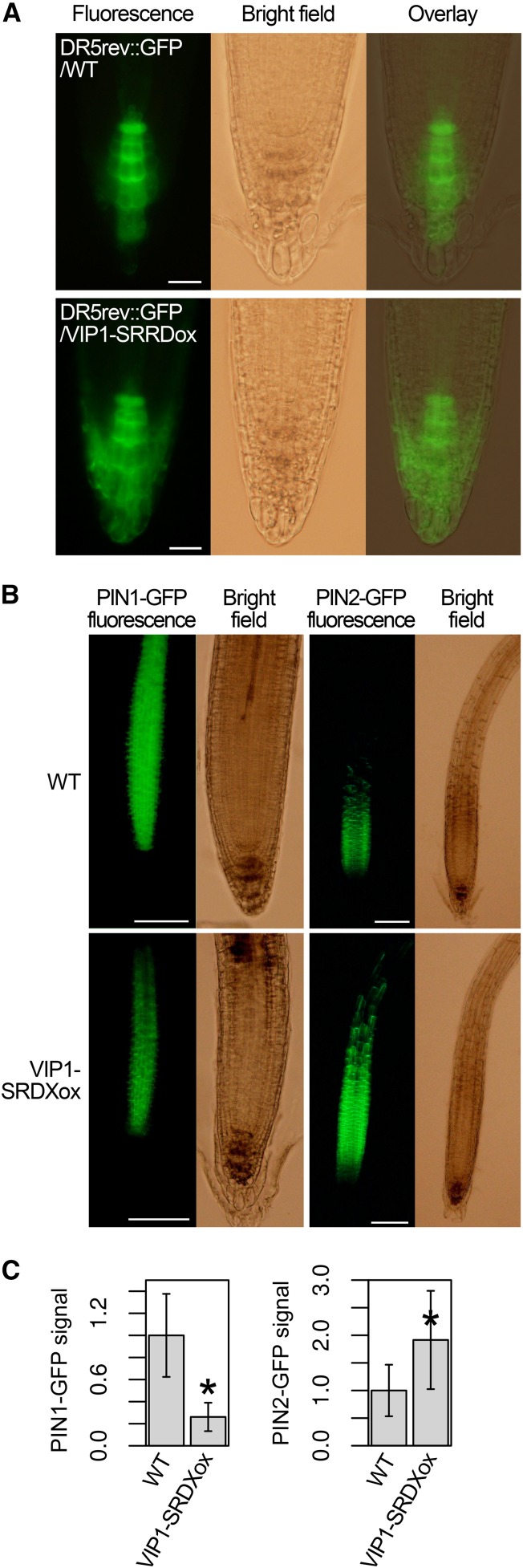 Figure 6.