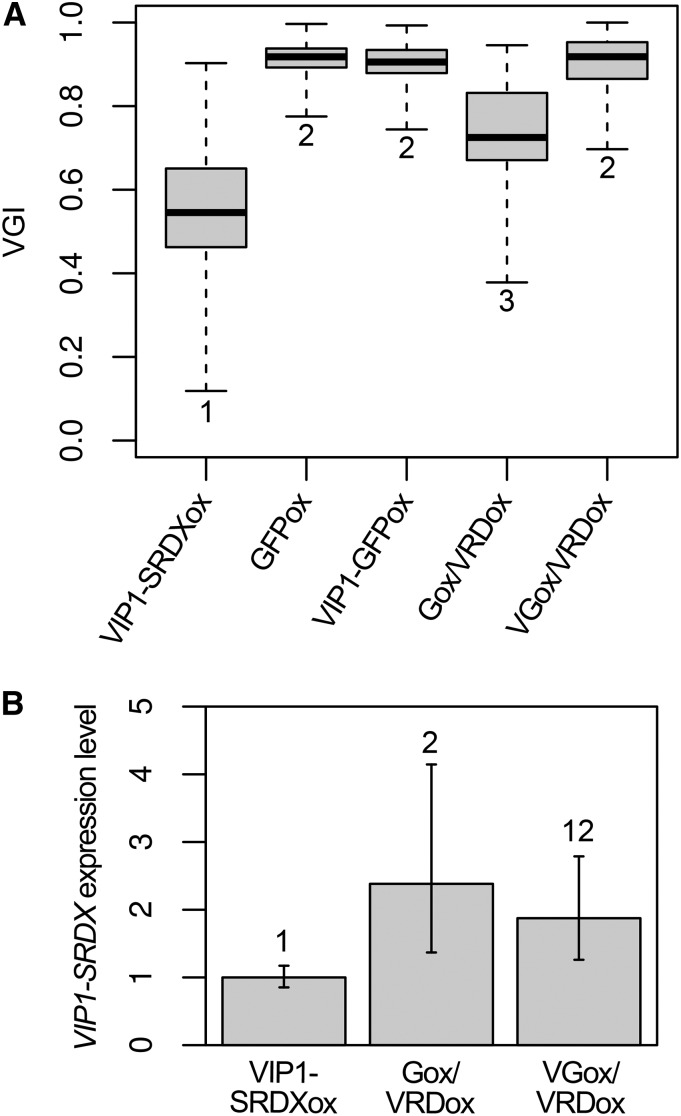 Figure 4.