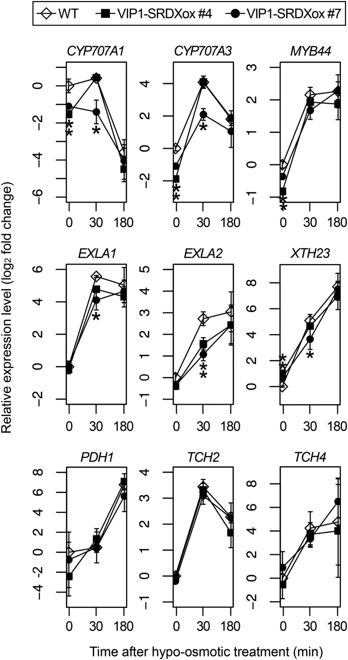 Figure 3.