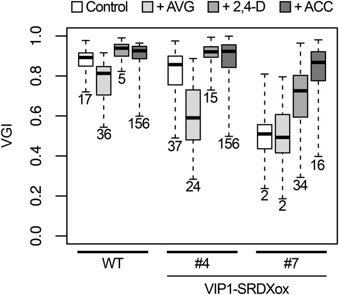 Figure 5.