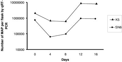 FIG. 1.