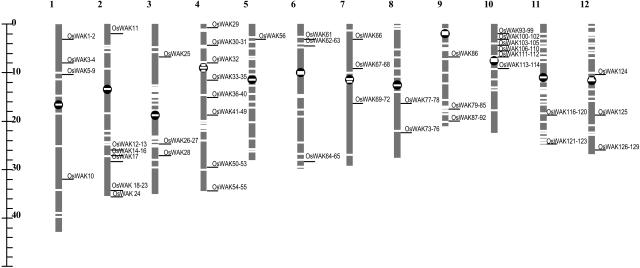 Figure 11.