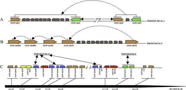 Figure 10.