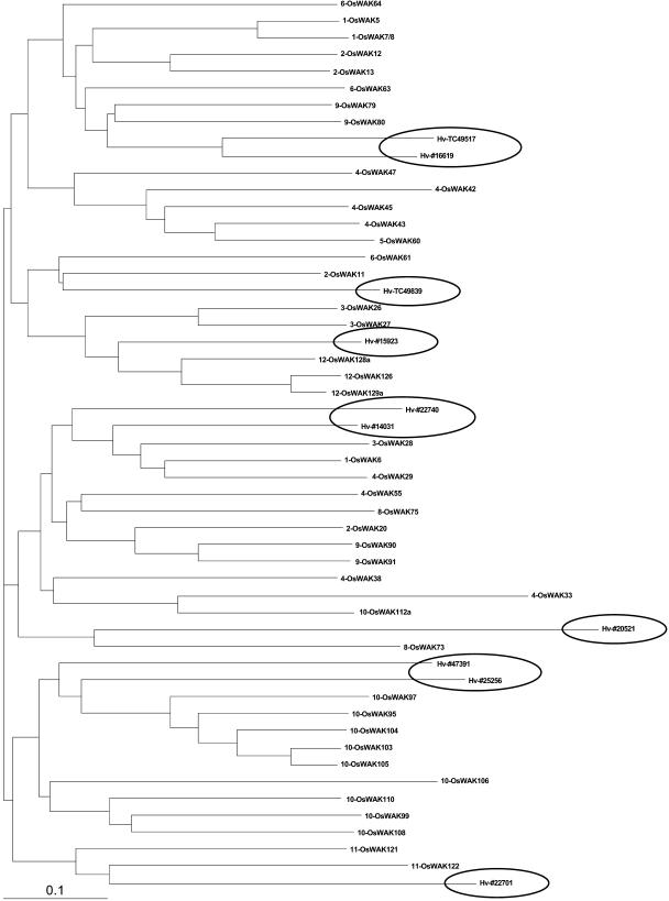 Figure 9.