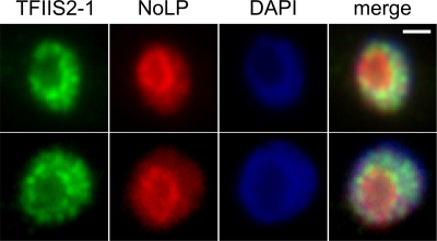 FIG. 6.