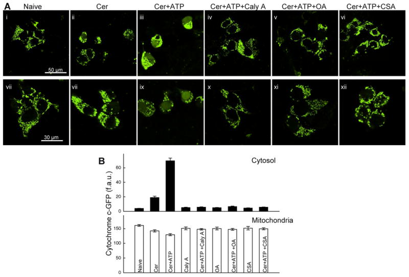 Fig2