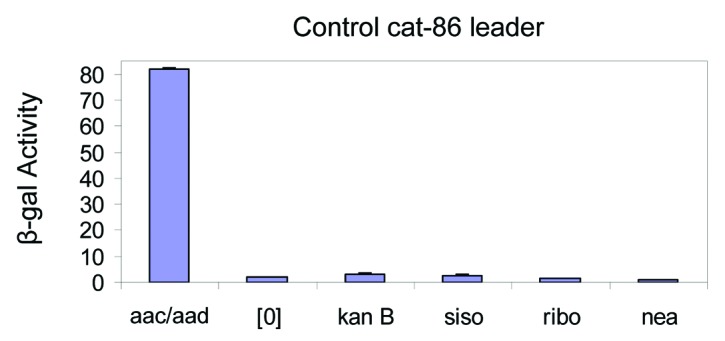 graphic file with name rna-10-1266-g3.jpg