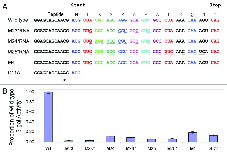 graphic file with name rna-10-1266-g4.jpg