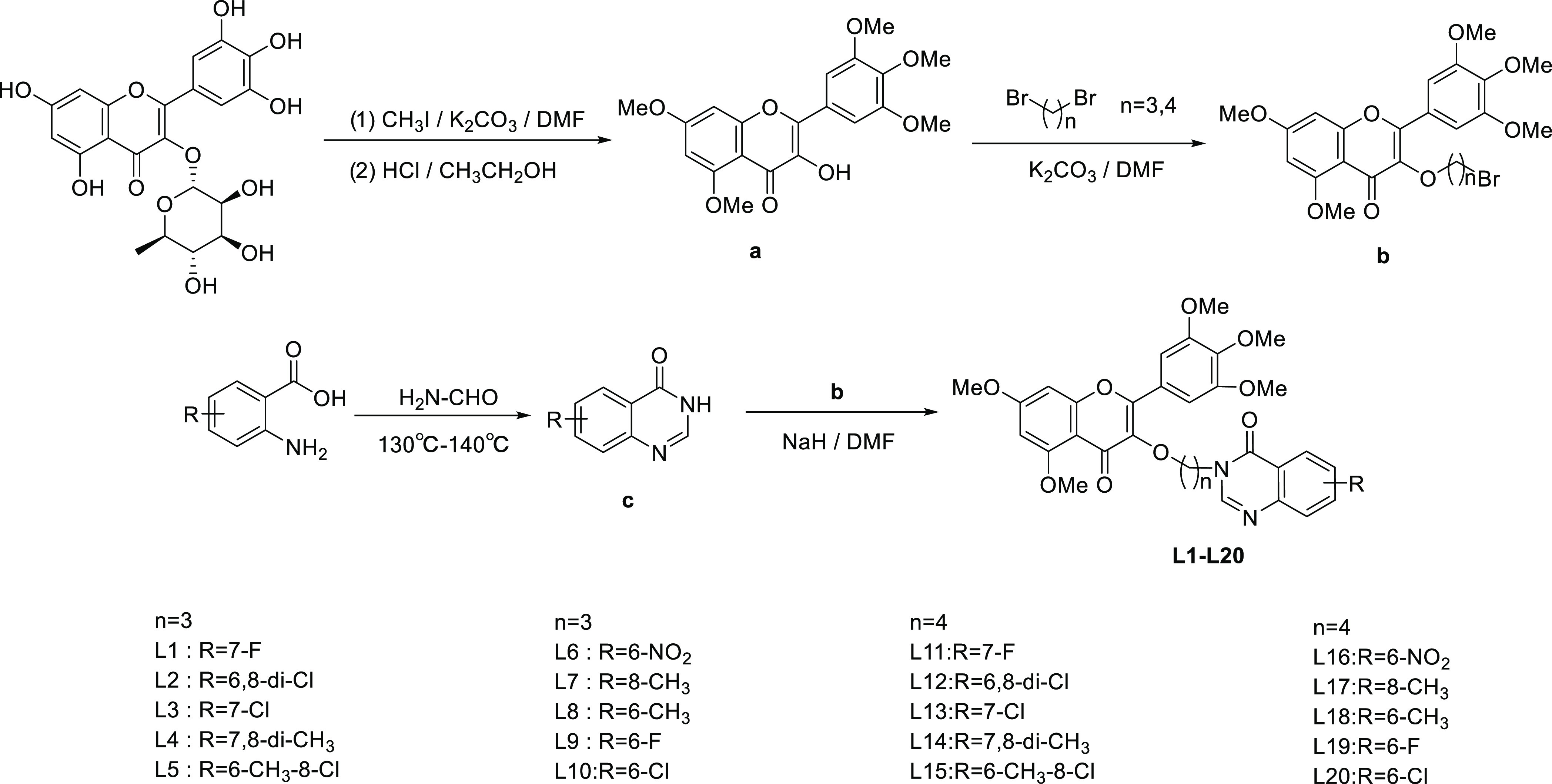 Scheme 1