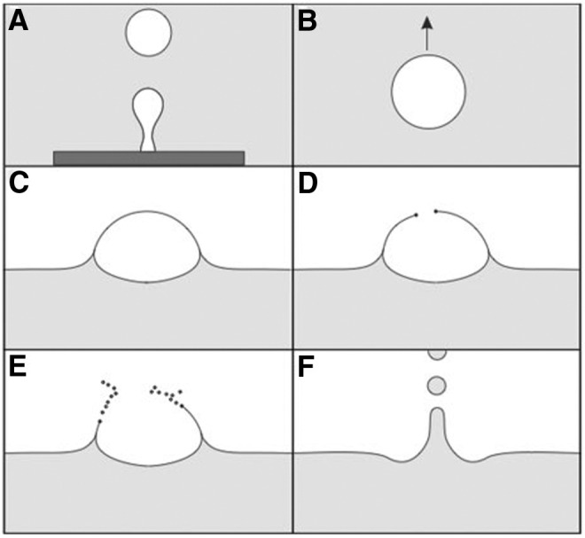 FIG. 8.