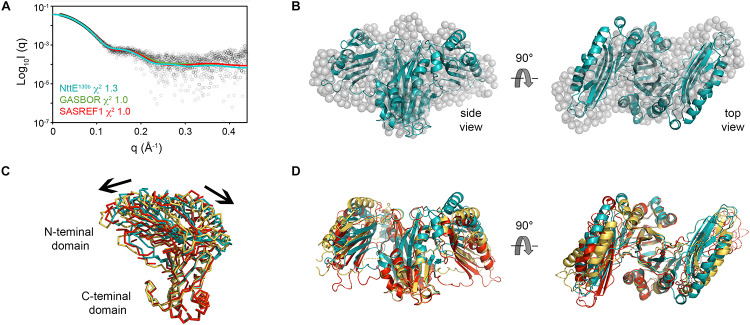 FIGURE 3