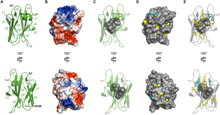 FIGURE 4