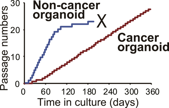 Figure 5