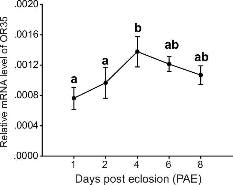 Figure 3—figure supplement 4.