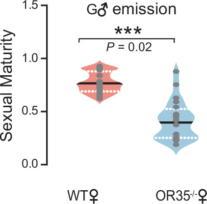 Figure 2—figure supplement 3.