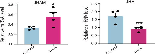 Figure 3—figure supplement 6.