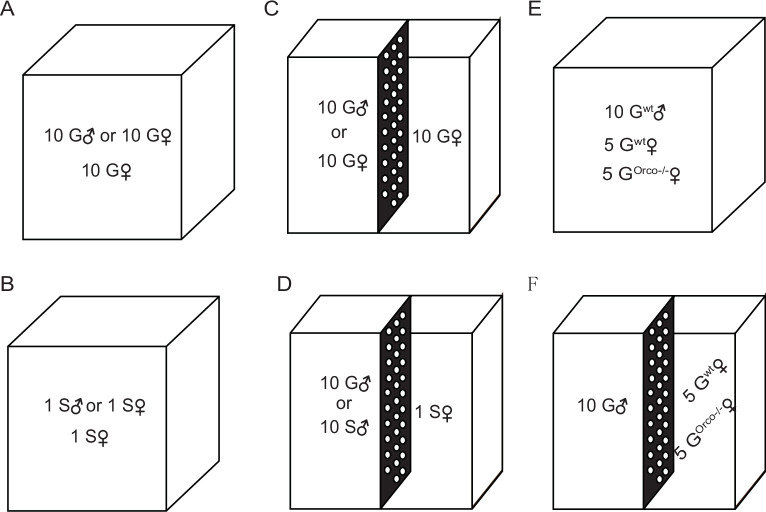 Figure 1—figure supplement 2.