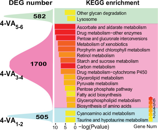 Figure 3—figure supplement 2.