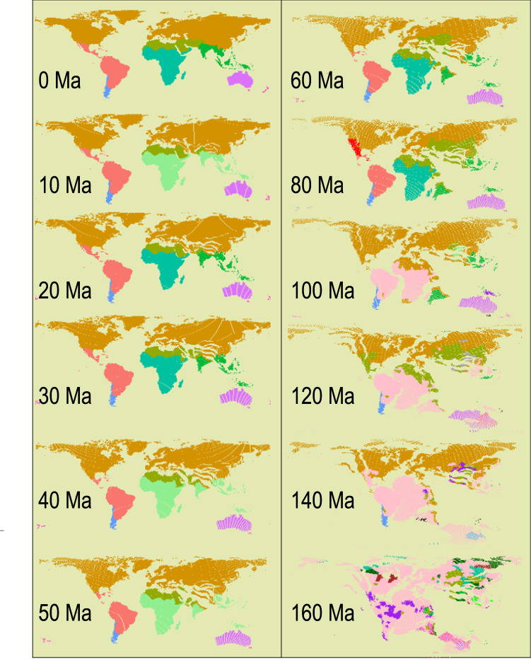 Fig. 2