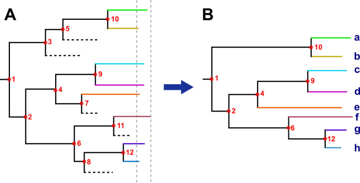 Appendix 1—figure 2.