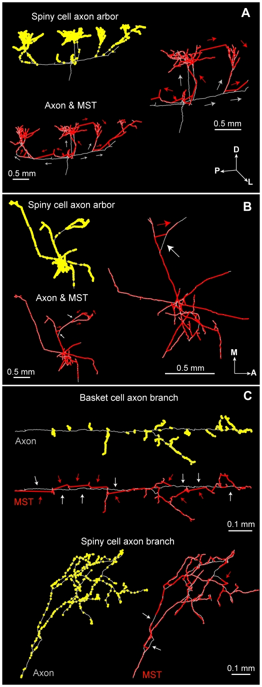 Figure 11