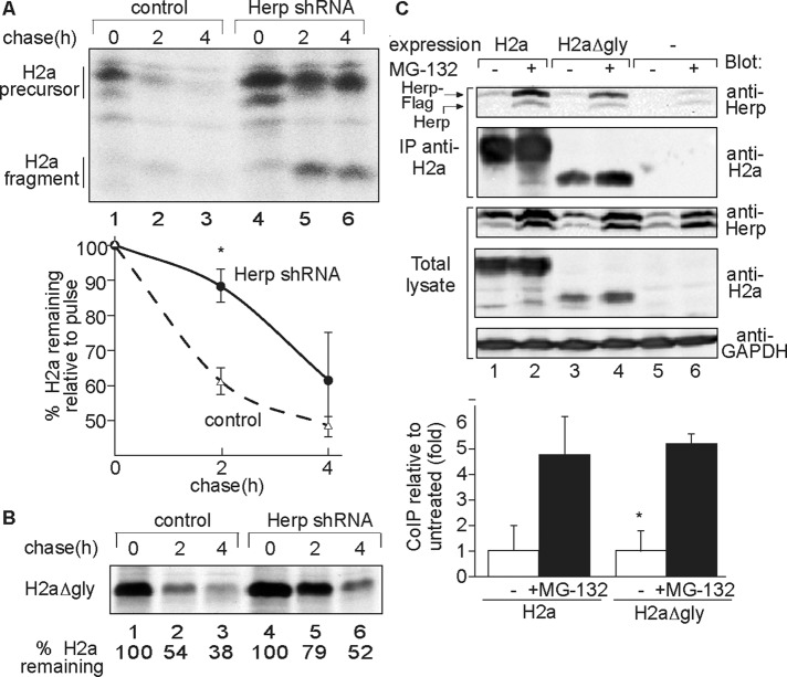 FIGURE 3: