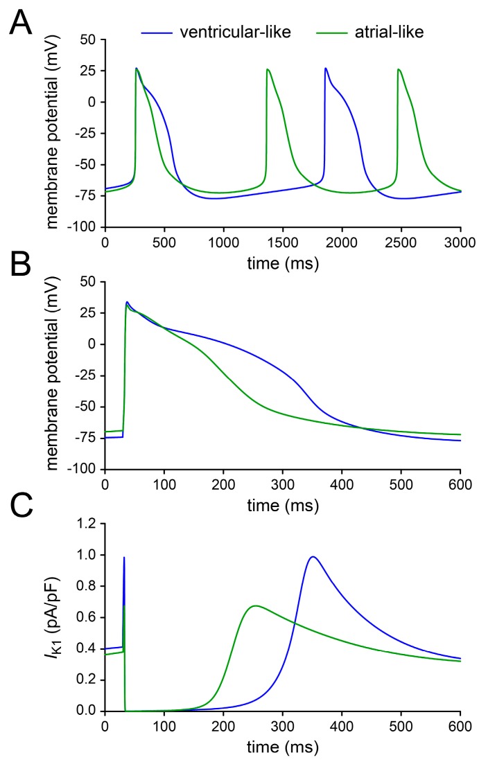 Figure 7