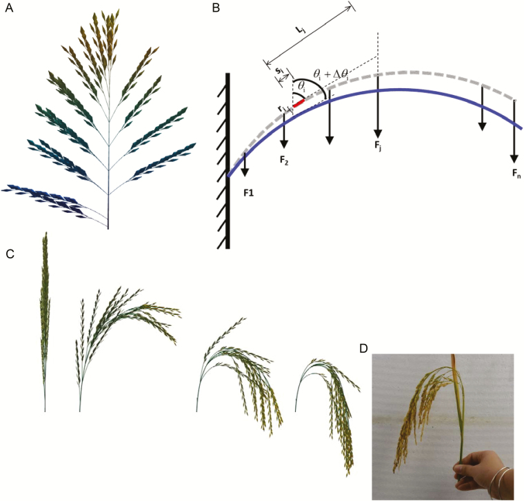 Fig. 1.