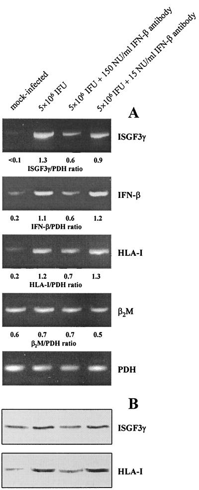 FIG. 5.