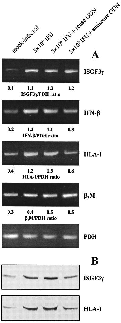 FIG. 4.