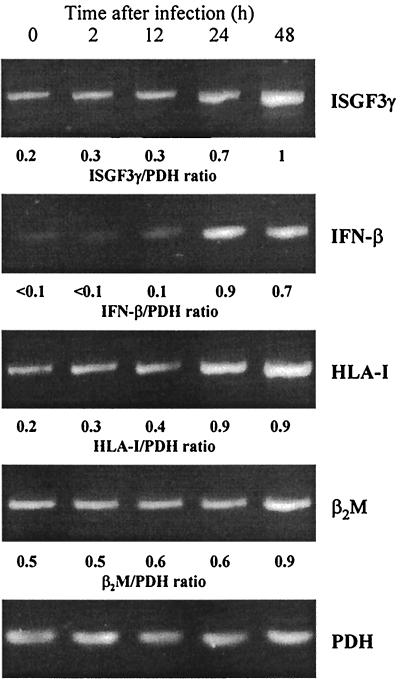 FIG. 6.