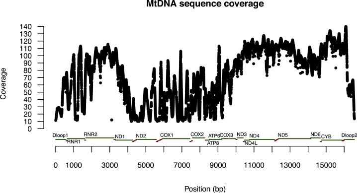 Figure 2