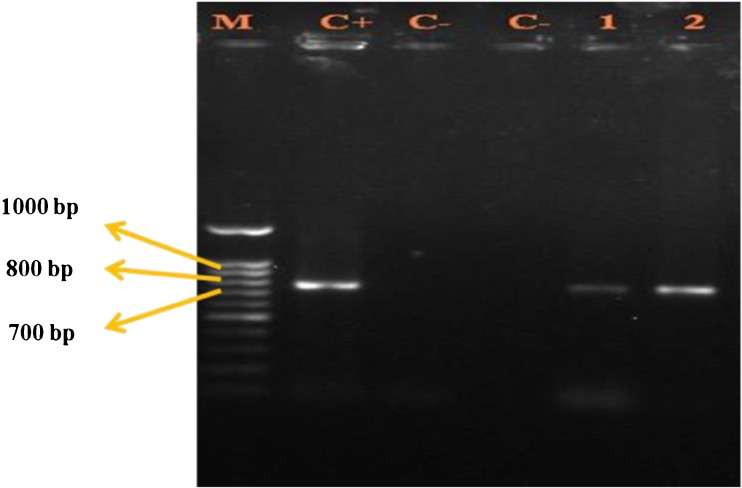 Figure 2.