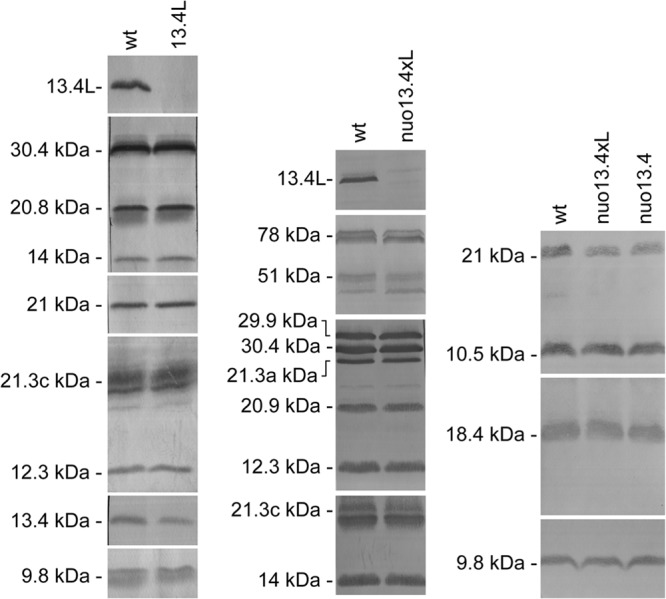 Fig 3