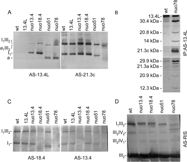 Fig 6