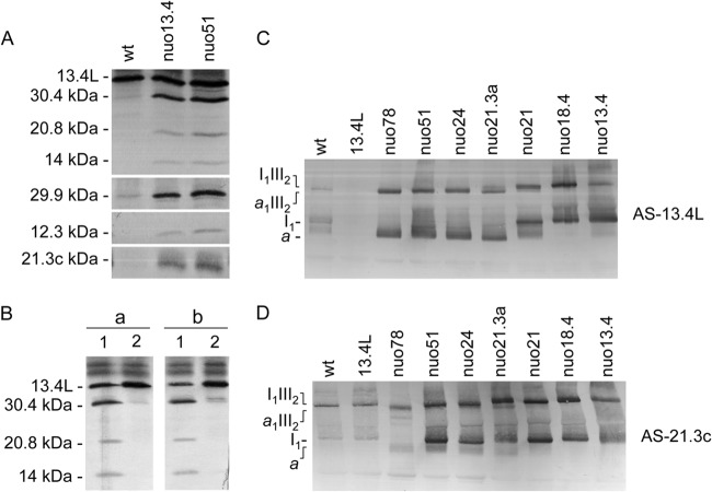 Fig 5