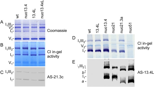 Fig 4