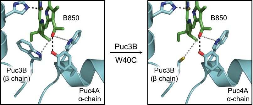 Fig. S5.