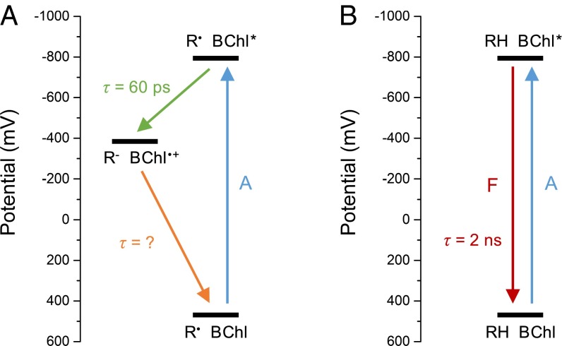 Fig. 8.