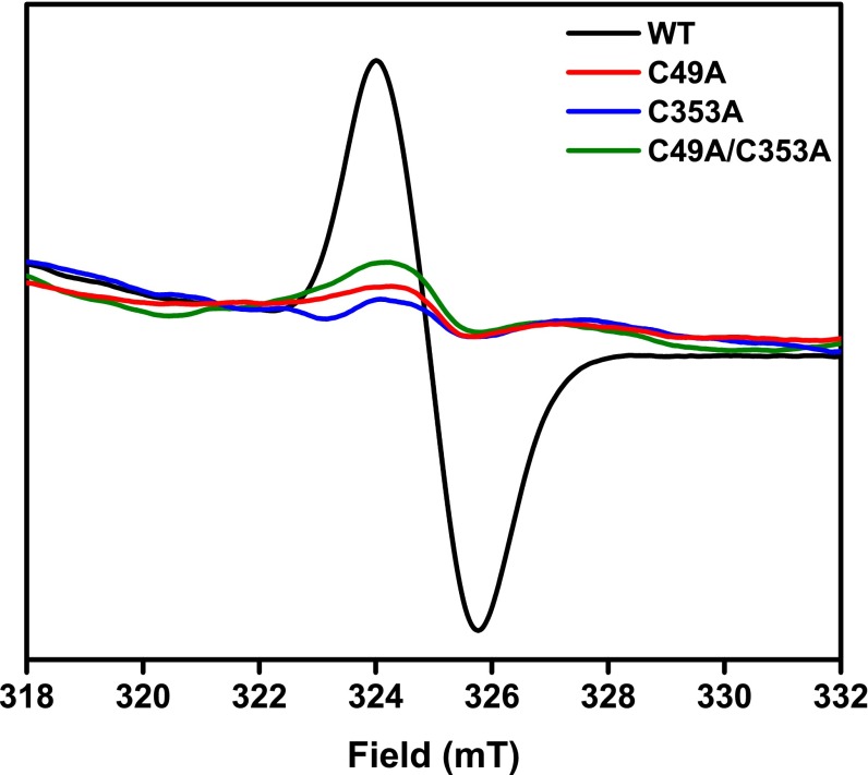 Fig. 6.