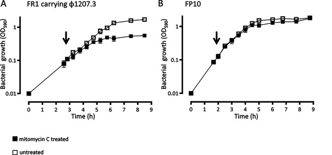 FIG 1