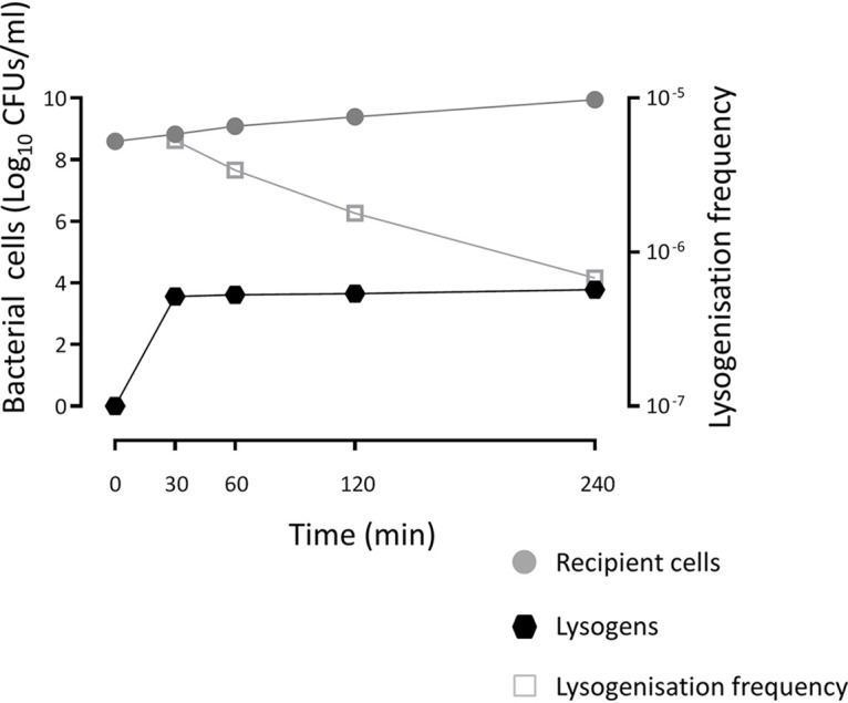 FIG 4