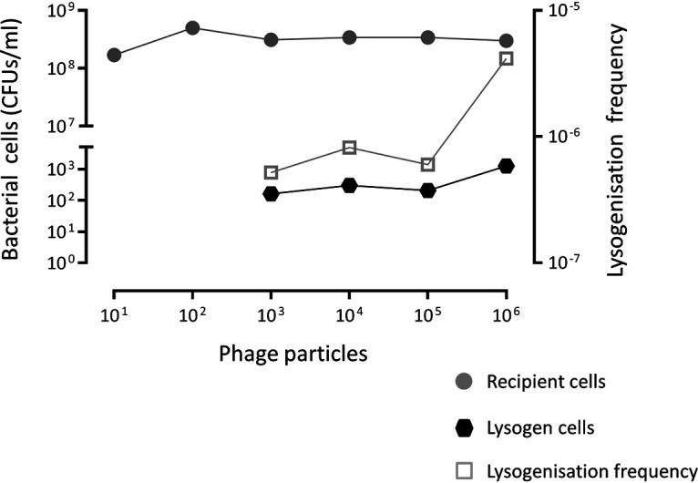 FIG 3