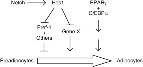 FIG. 9.