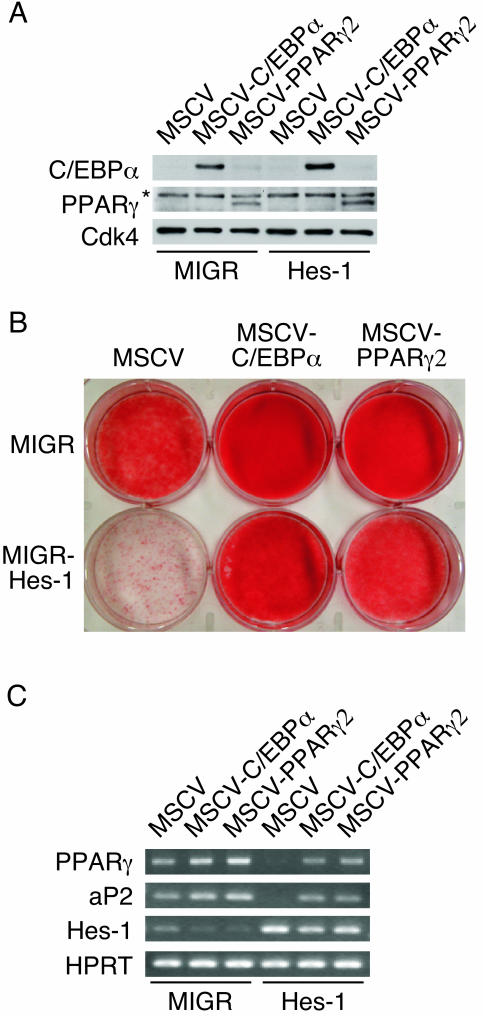 FIG. 5.